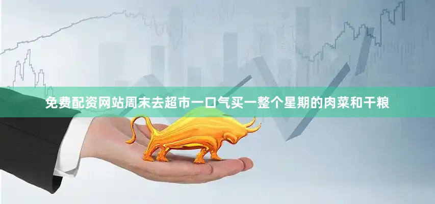 免费配资网站周末去超市一口气买一整个星期的肉菜和干粮