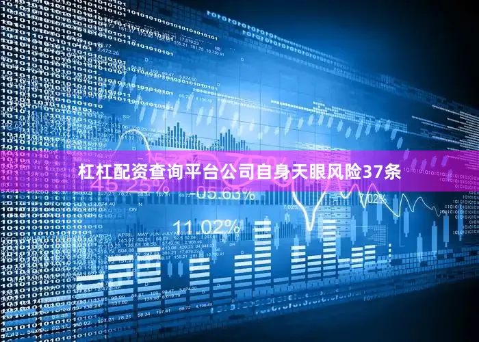 杠杠配资查询平台公司自身天眼风险37条