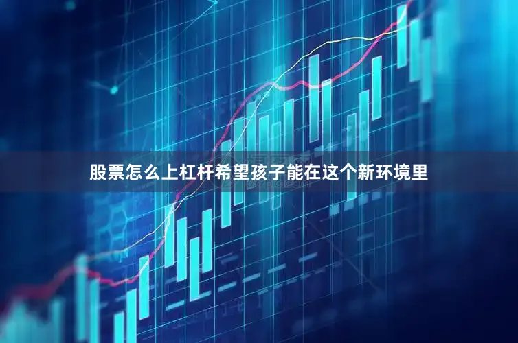 股票怎么上杠杆希望孩子能在这个新环境里