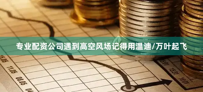 专业配资公司遇到高空风场记得用温迪/万叶起飞
